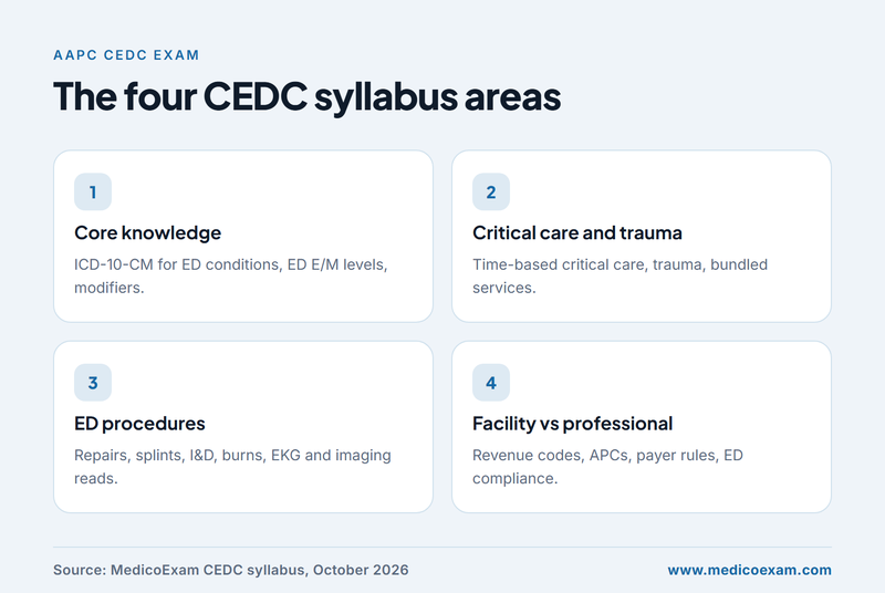 The four CEDC syllabus areas, from ED diagnosis coding to facility versus professional coding